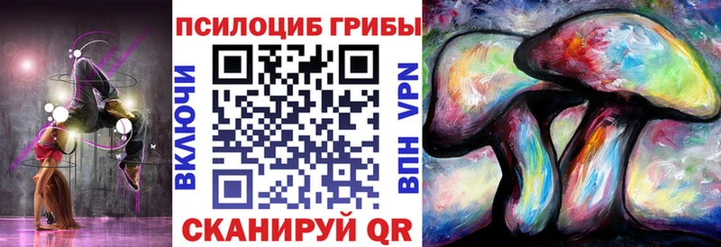 Купить закладки  Новое Девяткино  Псилоцибиновые грибы мухоморы 