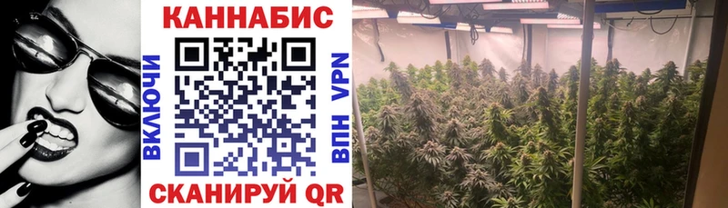 Купить закладки  Новое Девяткино  Бошки марихуана план 